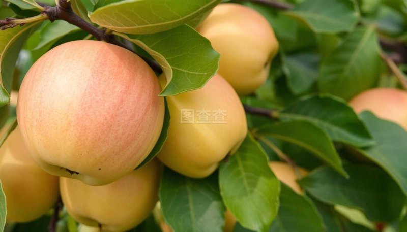 新口味在街角：磊子食品店的独特魅力
